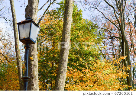 A large iron metal black high street lamp lighting 67260161