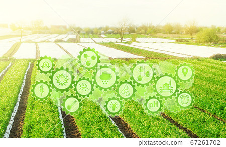 Futuristic innovative technology pictogram on green farm potato fields on an sunny morning day. Agricultural startups, improvements, digitalization agriculture industry. Innovation and development. Futuristic innovative technology pictogram on green farm potato fields on an sunny morning day. Agricultural startups, improvements, digitalization agriculture industry. Innovation and development. 67261702