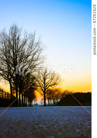 Country Road between the trees and fields Country Road between the trees and fields 67261828