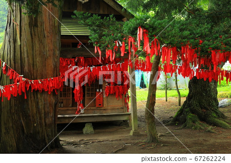 Tono City, Iwate Prefecture Matchmaking Yuko Rooster 67262224