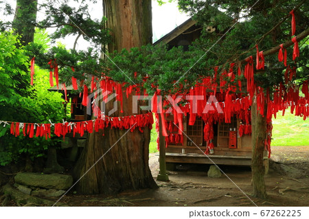 Tono City, Iwate Prefecture Matchmaking Yuko Rooster Tono City, Iwate Prefecture Matchmaking Yuko Rooster 67262225