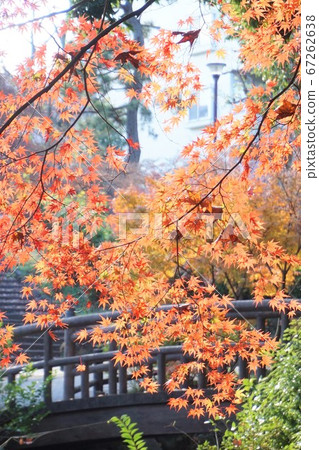 Shiraito Falls Bridge 67262638