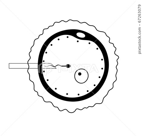 Reproductive system concept 67263079