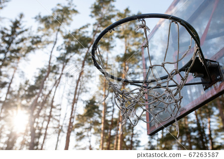 Basketball hoop in the forest. 67263587