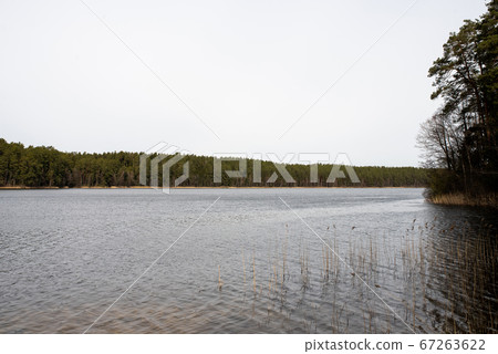 Quiet lake in the forest with a pier, in cloudy 67263622