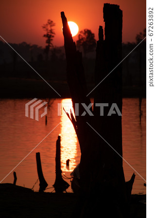 Sunset over dead trees, Nam Theun river, Thalang, Thakhek, Laos Sunset over dead trees, Nam Theun river, Thalang, Thakhek, Laos 67263892