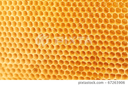 Background texture and pattern of wax honeycombs Background texture and pattern of wax honeycombs 67263906