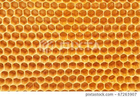 Background texture and pattern of wax honeycombs Background texture and pattern of wax honeycombs 67263907