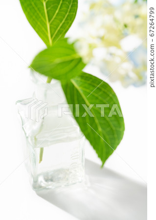 繡球花花瓶 繡球花花瓶 67264799