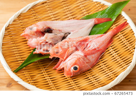 Opening of the world 67265473