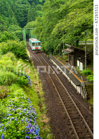 Early summer Tarumi Railway Hinata Station Early summer Tarumi Railway Hinata Station 67265513