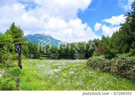 Mt. Yokote and Shibuike Mt. Yokote and Shibuike 67266503