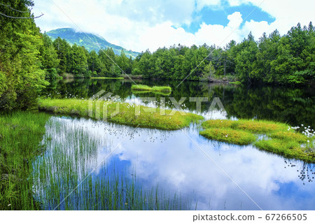 澀池映襯在藍天下 67266505