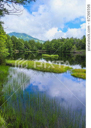 Shibuike (vertical) reflecting the blue sky 67266506