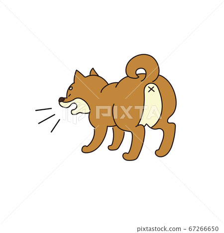 Barking shiba inu 67266650