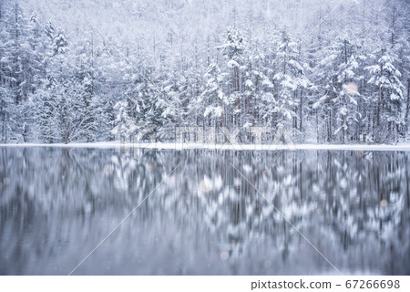 Winter's shooting pond Winter's shooting pond 67266698