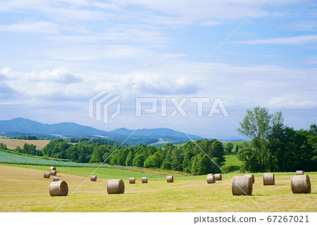 Grass rolls and the land of Hokkaido 67267021