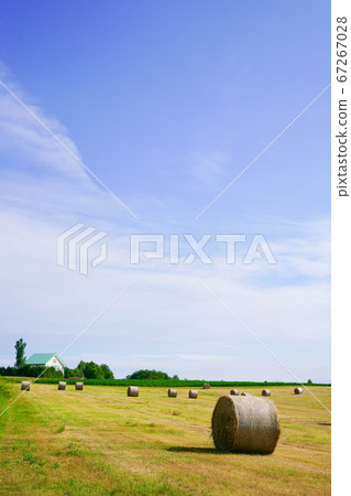 Grass rolls and the land of Hokkaido 67267028