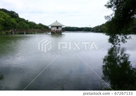 Yamadaike Park: Fresh greenery: Pond landscape: Ukimido 67267133