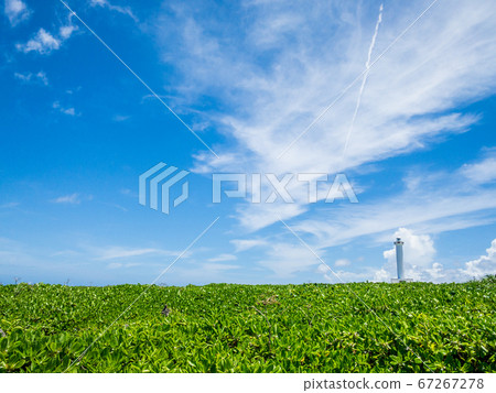 Cape Zanpa燈塔,沖繩的旅遊勝地,夏天02令人耳目一新的藍天 Cape Zanpa燈塔,沖繩的旅遊勝地,夏天02令人耳目一新的藍天 67267278