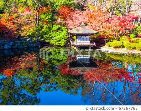 和歌山城的百草花園和豐岡 67267765