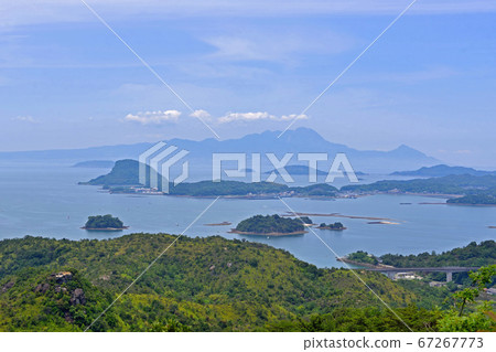 SenIwaoyama 67267773