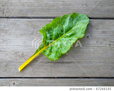 Swiss Chard Swiss Chard 67268185