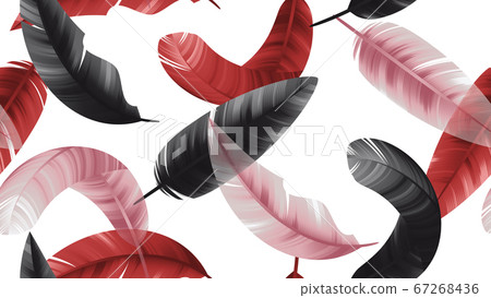 Seamless pattern, black, red and pink feathers on white background Seamless pattern, black, red and pink feathers on white background 67268436