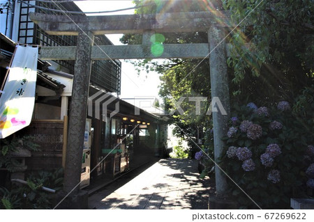 可以欣賞到江之島“ Oiwaya Dori”美景的餐廳 可以欣賞到江之島“ Oiwaya Dori”美景的餐廳 67269622