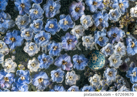 Sa玉縣行田市行田八man神社羽田水 Sa玉縣行田市行田八man神社羽田水 67269670