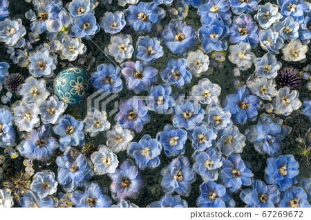 Hanedamizu, Gyoda Hachiman Shrine, Gyoda City, Saitama Prefecture 67269672