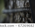 Tree trunk and spring 67269682
