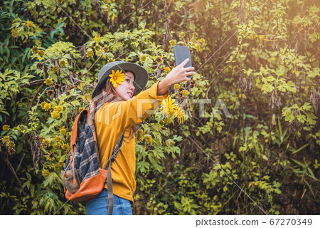 A girl with a backpack is using the phone to take selfie a picture of the Bua Tong flower yellow A girl with a backpack is using the phone to take selfie a picture of the Bua Tong flower yellow 67270349