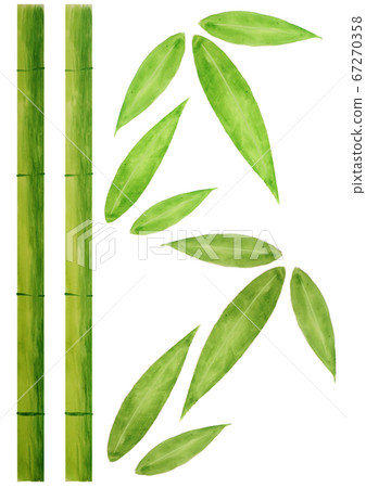 bamboo bamboo 67270358