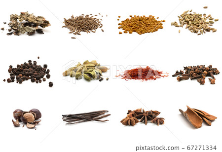 Set of different spices 67271334