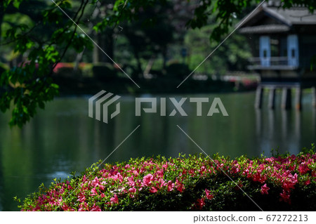 Early summer of Kenrokuen Early summer of Kenrokuen 67272213