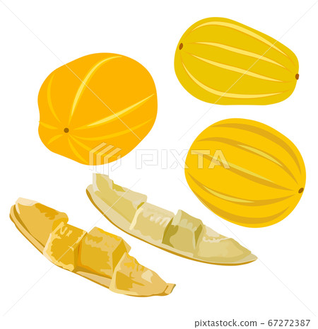 Stock vector illustration of Korean melon chamoe. Small yellow round sugar fruit. Dessert. Sugar Melon pumpkin. Sweet cantaloupe. Fresh muskmelon. Isolated on a white background. Summer vegetable 67272387