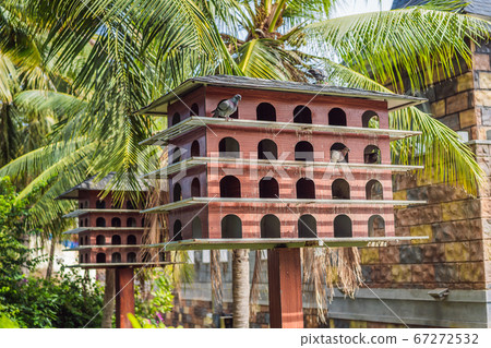 The wooden dovecote on the background of the blue sky at the summer countryside The wooden dovecote on the background of the blue sky at the summer countryside 67272532
