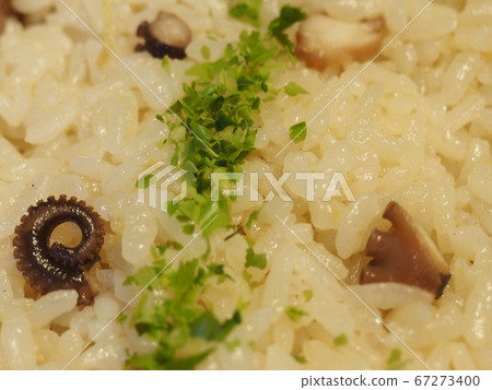 Octopus rice bento, octopus and ginger rice Octopus rice bento, octopus and ginger rice 67273400