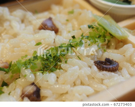 章魚章魚和生薑飯盒章魚飯 67273403