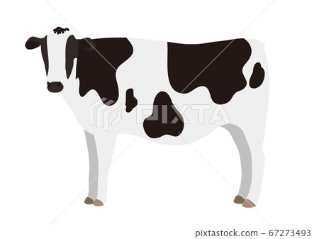 牛全身圖 67273493