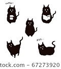 黑貓的生活方式 67273920