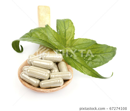 Andrographis Paniculata fresh herbs, plants and capsules in a wooden spoon Isolated on white background 67274108