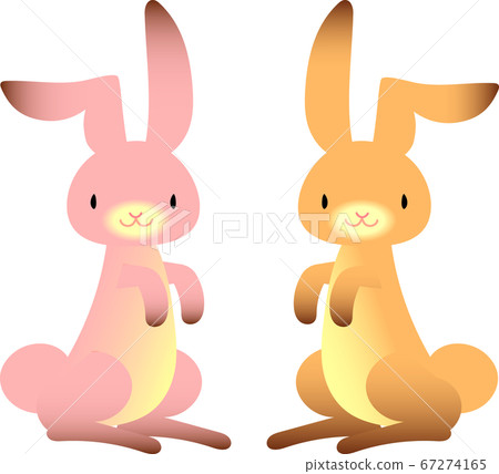 Rabbit Rabbit 67274165