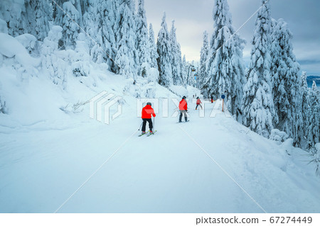 Winter ski resort with skiers and snowy trees, Transylvania, Romania Winter ski resort with skiers and snowy trees, Transylvania, Romania 67274449