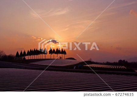 Ono-cho rural evening view 67274635