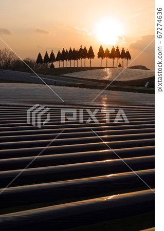 Rural landscape at sunset in Ono town Rural landscape at sunset in Ono town 67274636