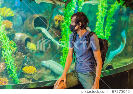 Man in medical masks look at the fish in the aquarium in oceanarium. People walk in medical masks after the end of the coronovirus 67275043