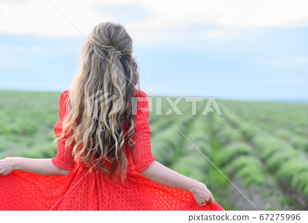 Happy woman in red dress dancing and jumping in lavender field Happy woman in red dress dancing and jumping in lavender field 67275996