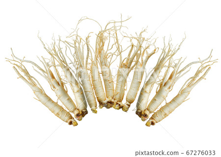 Ginseng root 67276033